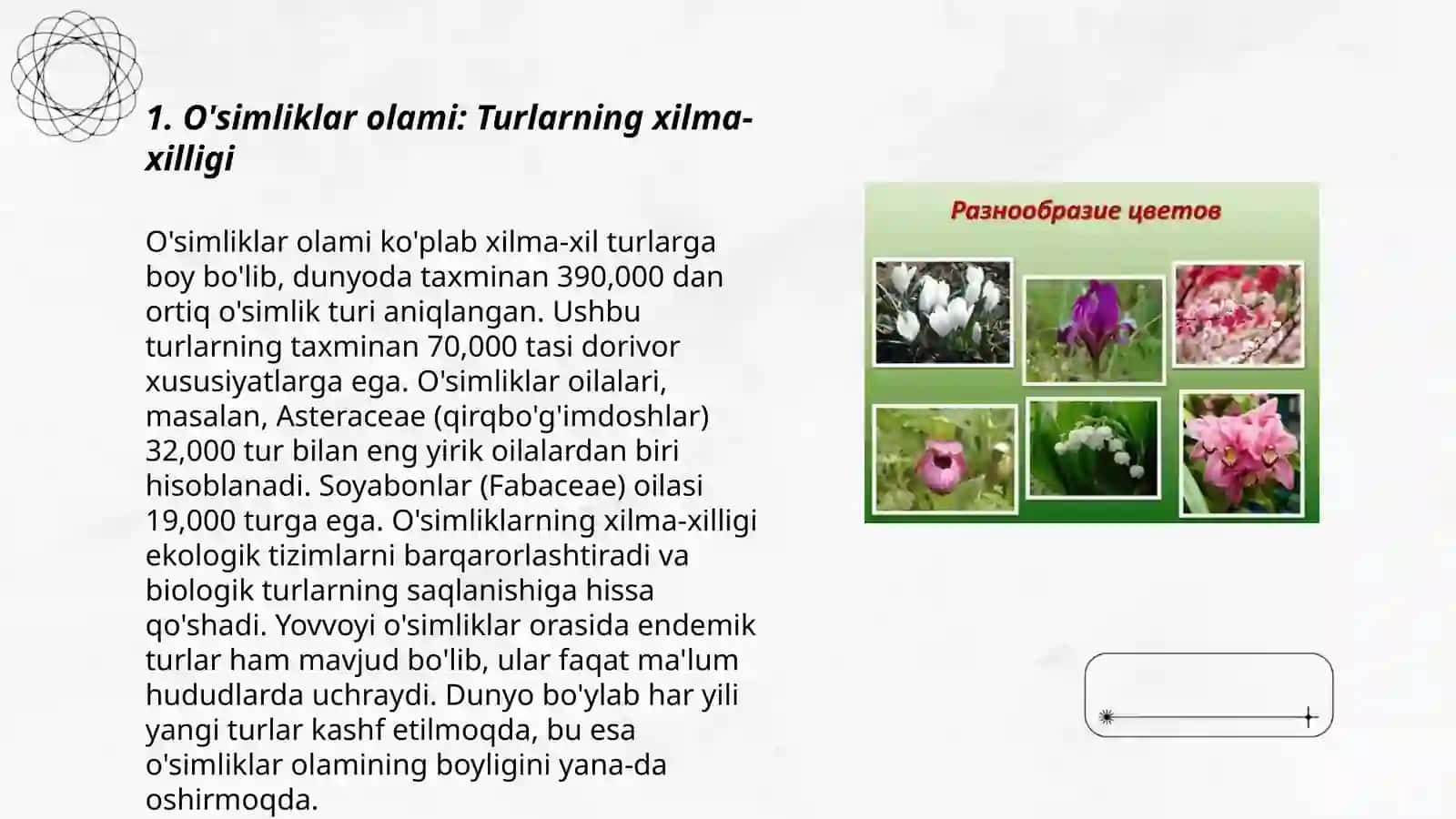 O'simliklar olami: Turlarning xilma-xilligi 3