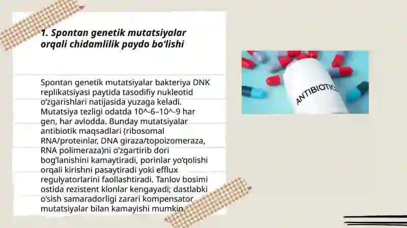 Bakteriyalarning antibiotiklarga chidamli shakllarining paydo boʻlish mexanizmlari 3