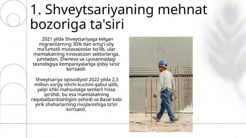 Shvetsariya ishchi kuchi migratsiyasi 3