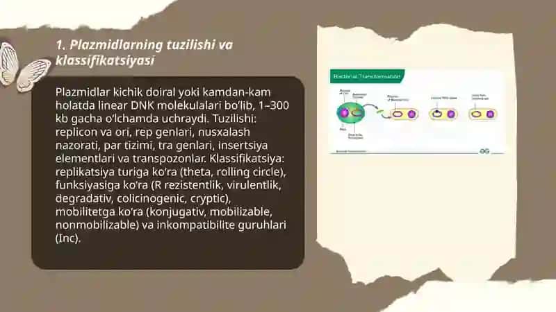 Mikroorganizmlarning genetikasi va õzgaruvchanligi 3