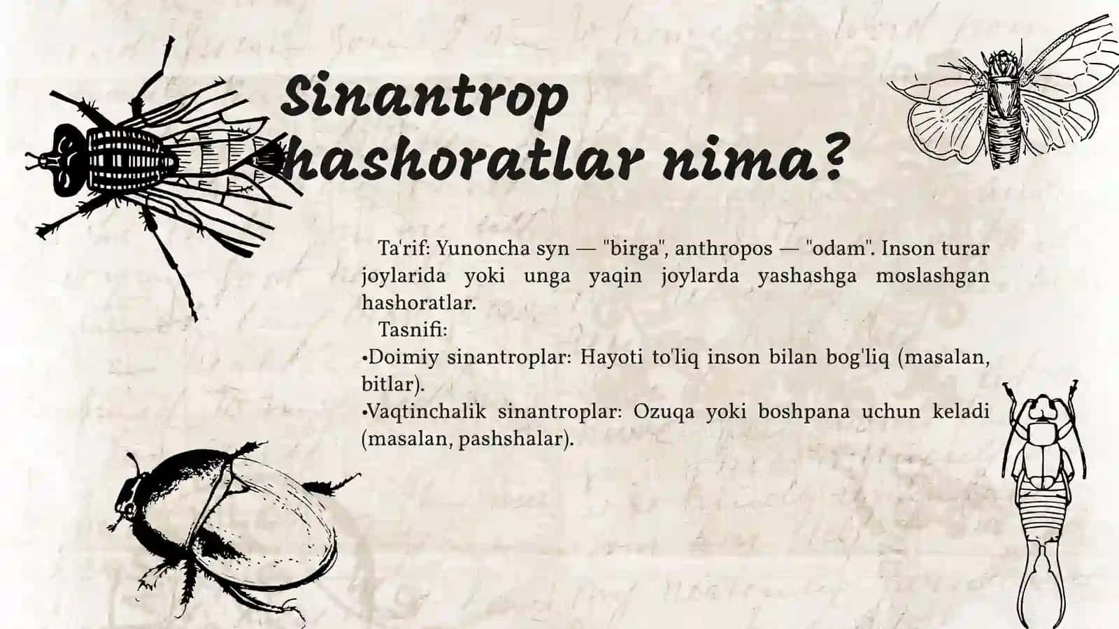 Sinantrop hashoratlarning epidemiologik ahamiyati 3