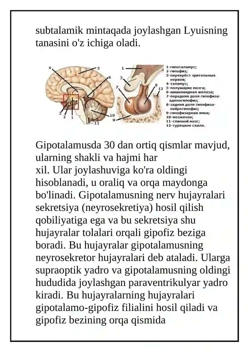 Gipotalamik sindrom 3