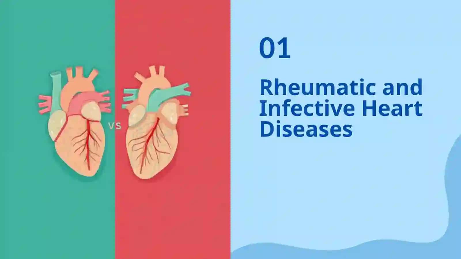 Rheumatic and Infective Heart Diseases 3