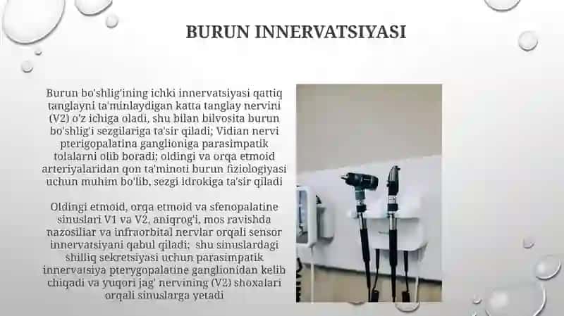 Burun va uning yondosh bo'shliqlari 3
