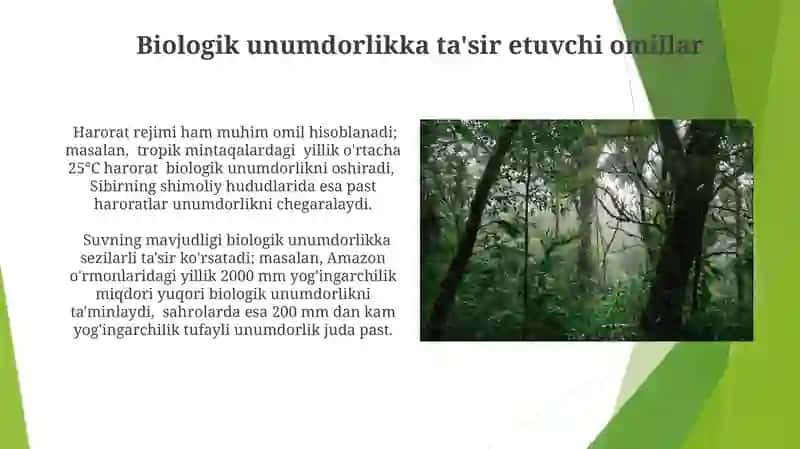 Ekologik tizim turlari va biologik mahsuldorlig 3