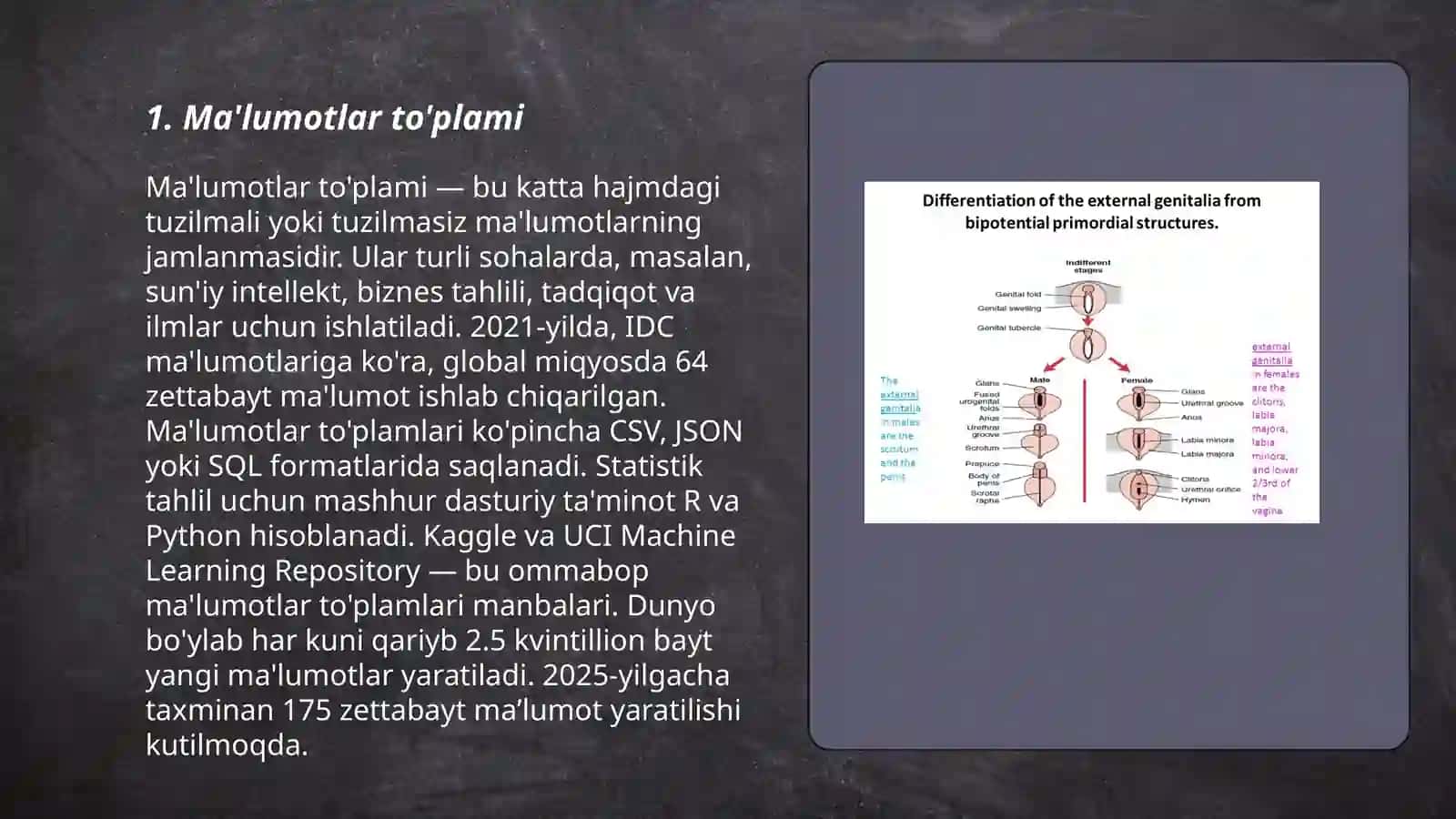 Statistika: Asosiy Tushunchalar va Toifalar 3