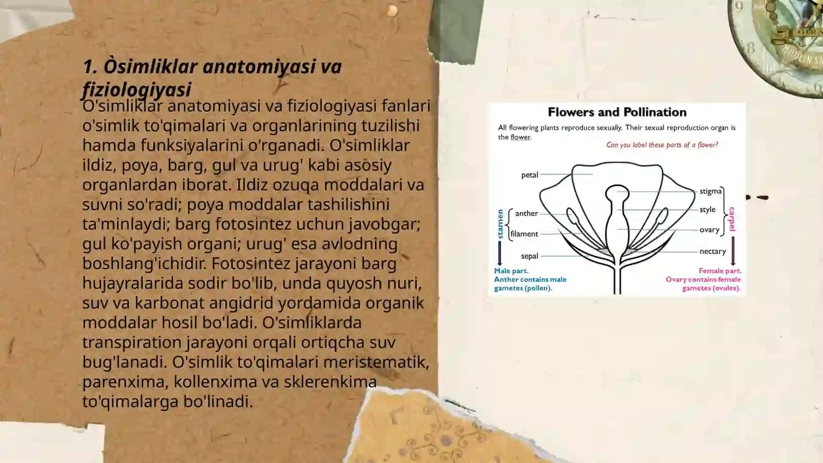 Òsimliklar gullashi va changlanish jarayonini òrganishda foydalaniladigan metodlar 3
