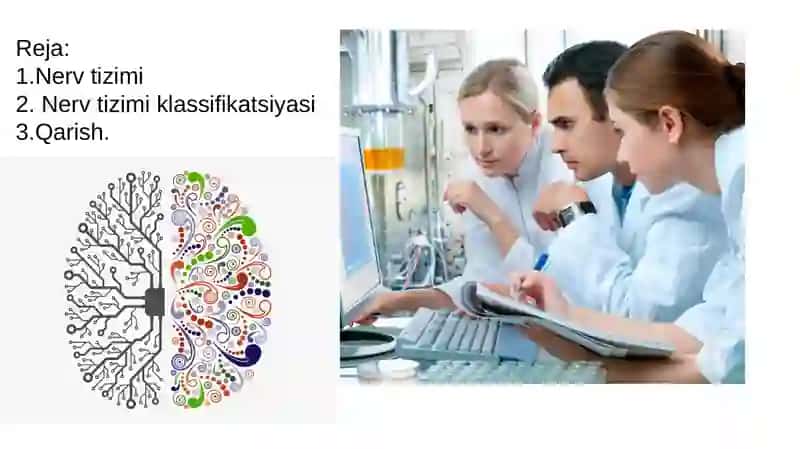 O'zbekiston Milliy Universiteti Ijtimoiy Fanlar Fakulteti 3