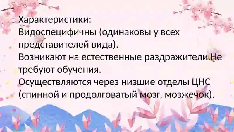 Безусловные и условные рефлексы 3