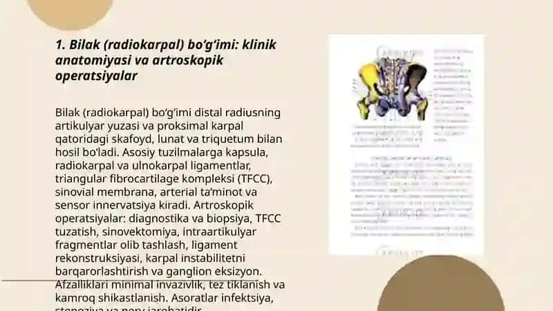 Qo‘l va oyoq bo‘g‘imlari klinik anatomiyasi 3