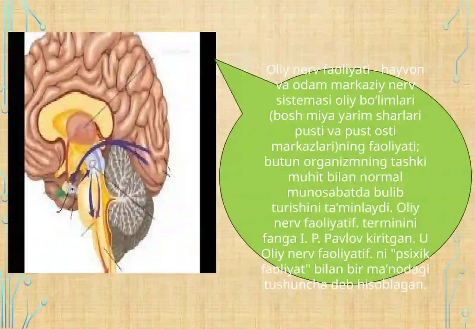 Oliy nerv faoliyati. Xotira xususiyatlarini aniqlas. Oliy nerv faoliyati tipini aniqlash 3