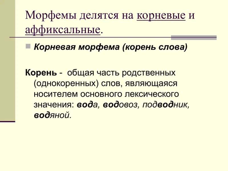 Виды морфем. 3