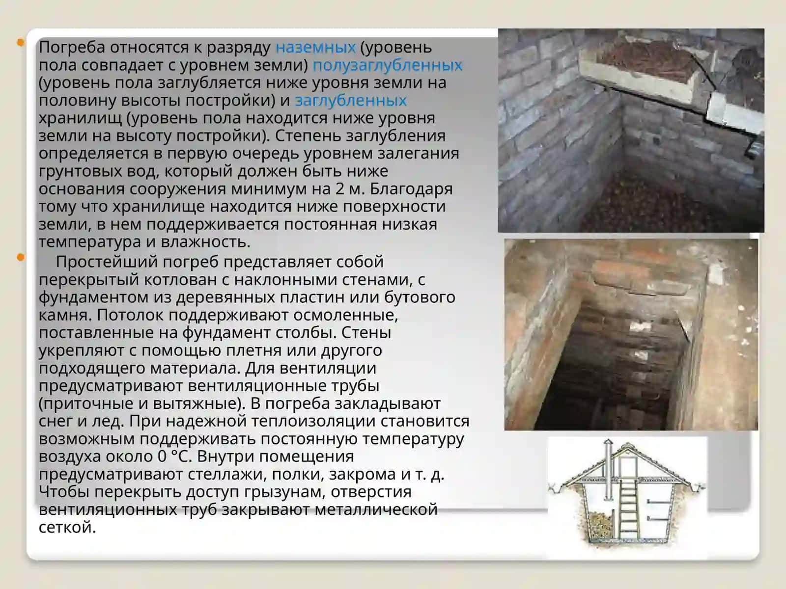 Иқтисодиётда қишлоқ хўжалиги маҳсулотларини сақлаш ва дастлабки ишлов бериш 3
