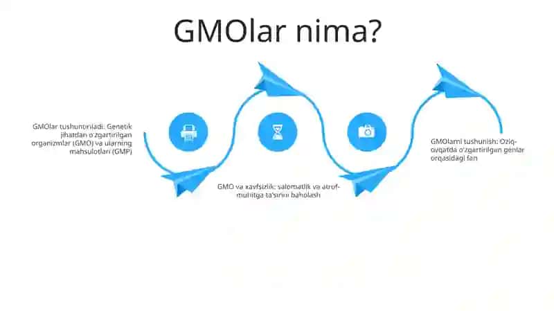 Genetik Modifikatsiyalangan Organizm (GMO) Va Mahsulotlar (GMM) 3