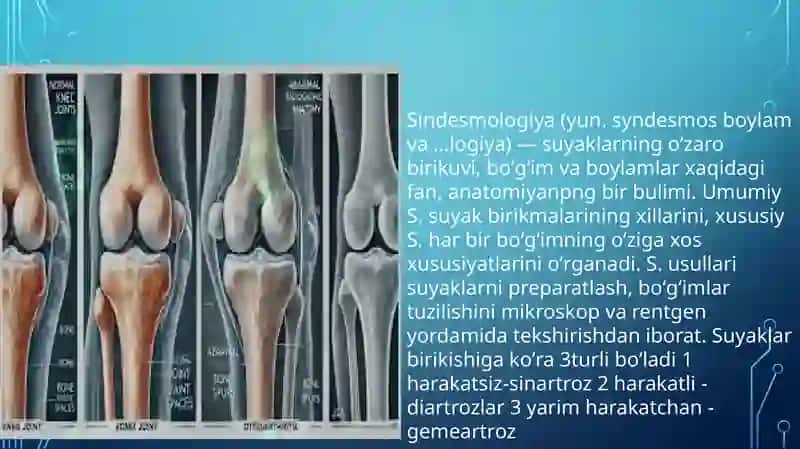 Birlashmalarning rentgen anatomiyasi 3