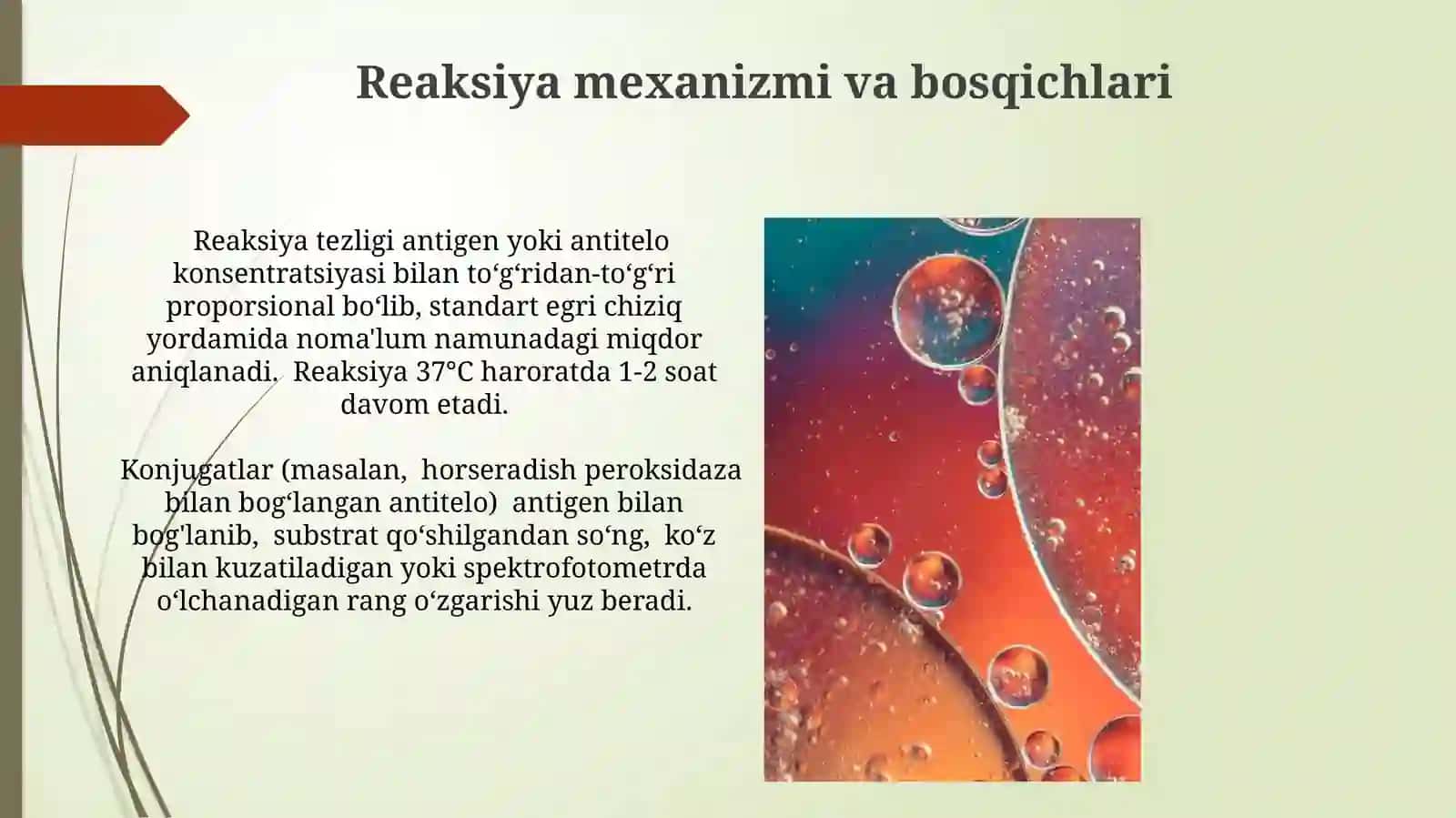 Immunoferment taxlil usuli 3