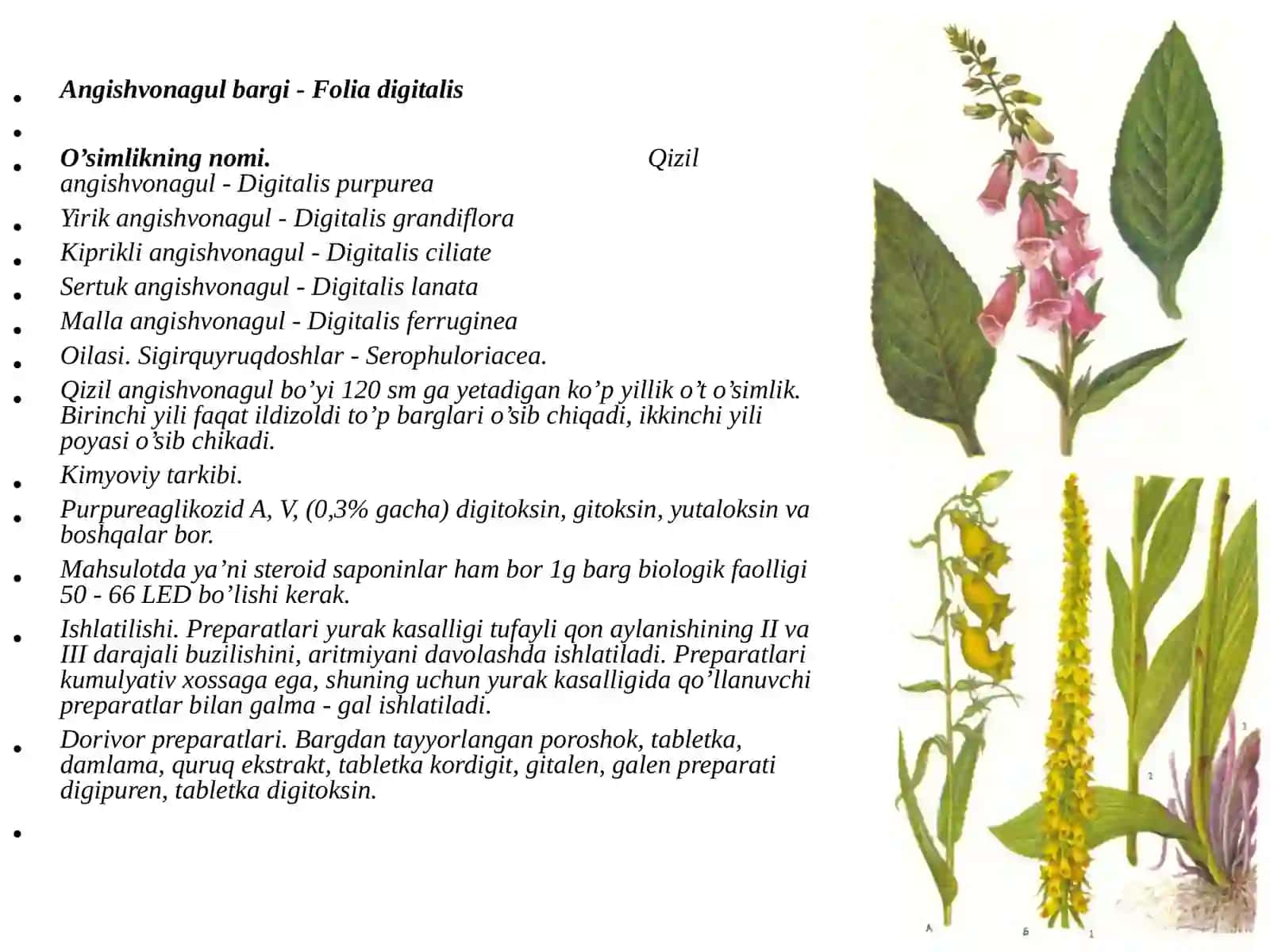 FAN: FARMAKOGNOZIYA: “TARKIBIDA GLIKOZIDLAR VA YURAK GLIKOZIDLARI SAQLOVCHI DORIVOR O’SIMLIK VA MAHSULOTLAR” 3