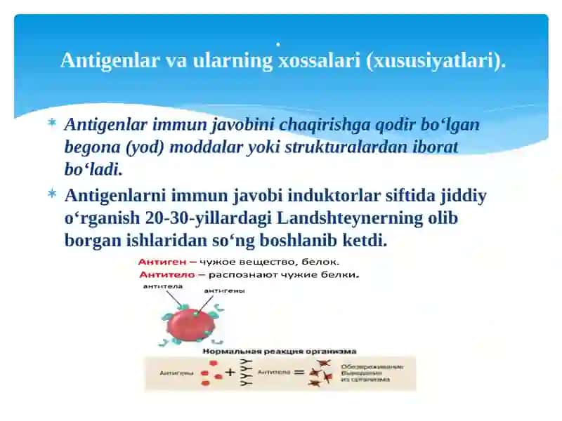 Antigen va antitana. Immunoglobulinlar: tuzilishi va vazifasi 3