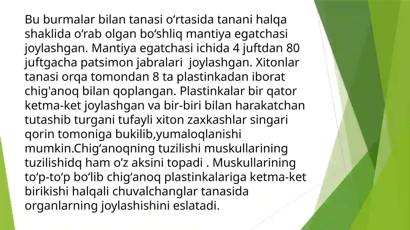 Qalqondorlar yaʼni xitonlar (Loricata, Polyplacophora) sinfi 3