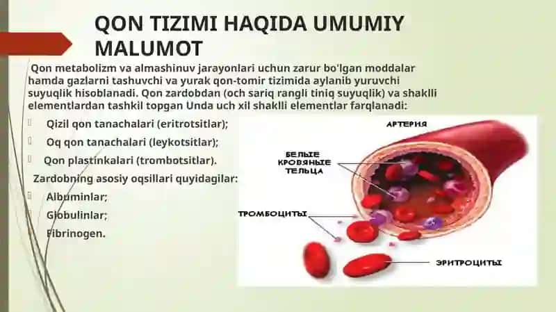 QON YARATISH SISTEMASI KASALLIKLARIDA TEKSHIRISH USULLARI 3