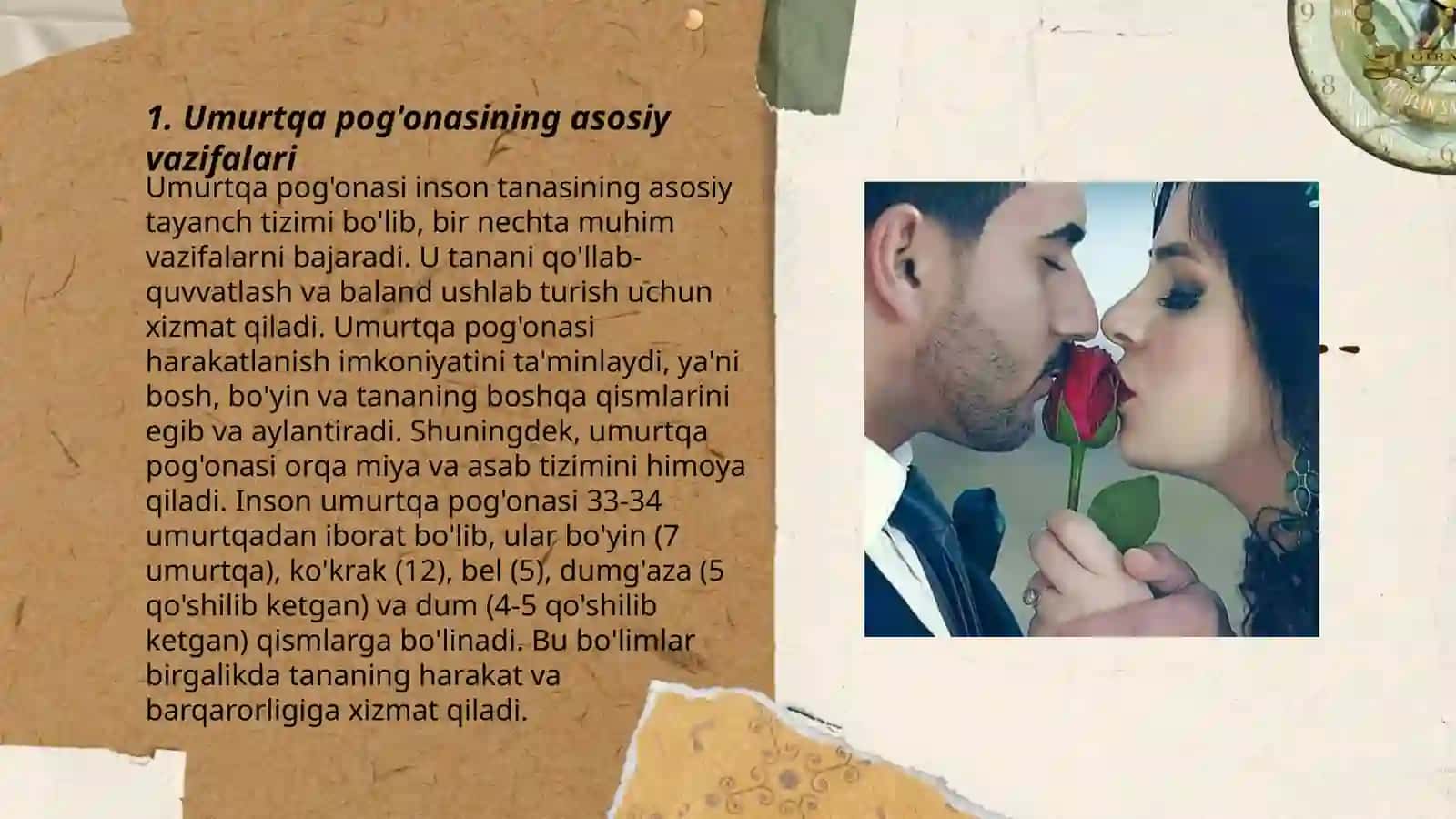 Skeletning sigmentar tuzilishi.Umurtqalarning yoshga va jinsga qarab oʻzgarishi 3