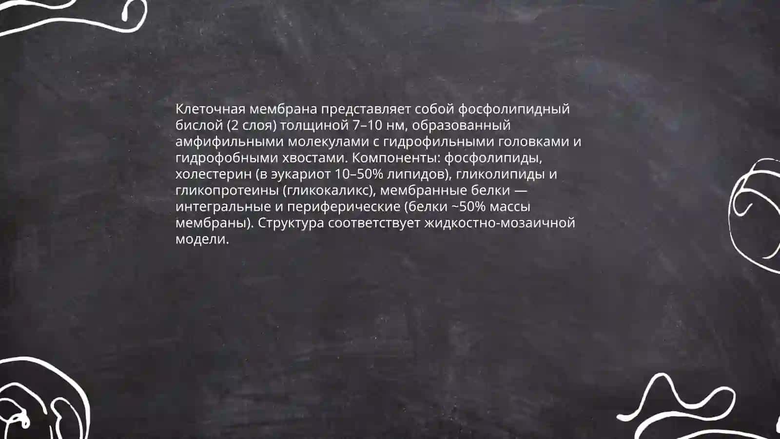 Клеточная мембрана биология 3
