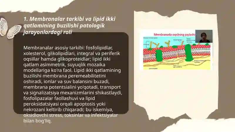 Membranalar buzilishlarni patalogik jarayonlarni kelib chiqarishidagi oʻrni 3