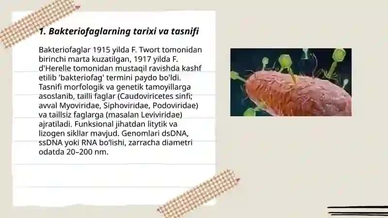 Bakteriofaglar, morfologiyasi, strukturasi, repraduksiyasi, amaliyotda (davolashda, identifikatsiyada, profilaktikada) qo'llanilishi 3