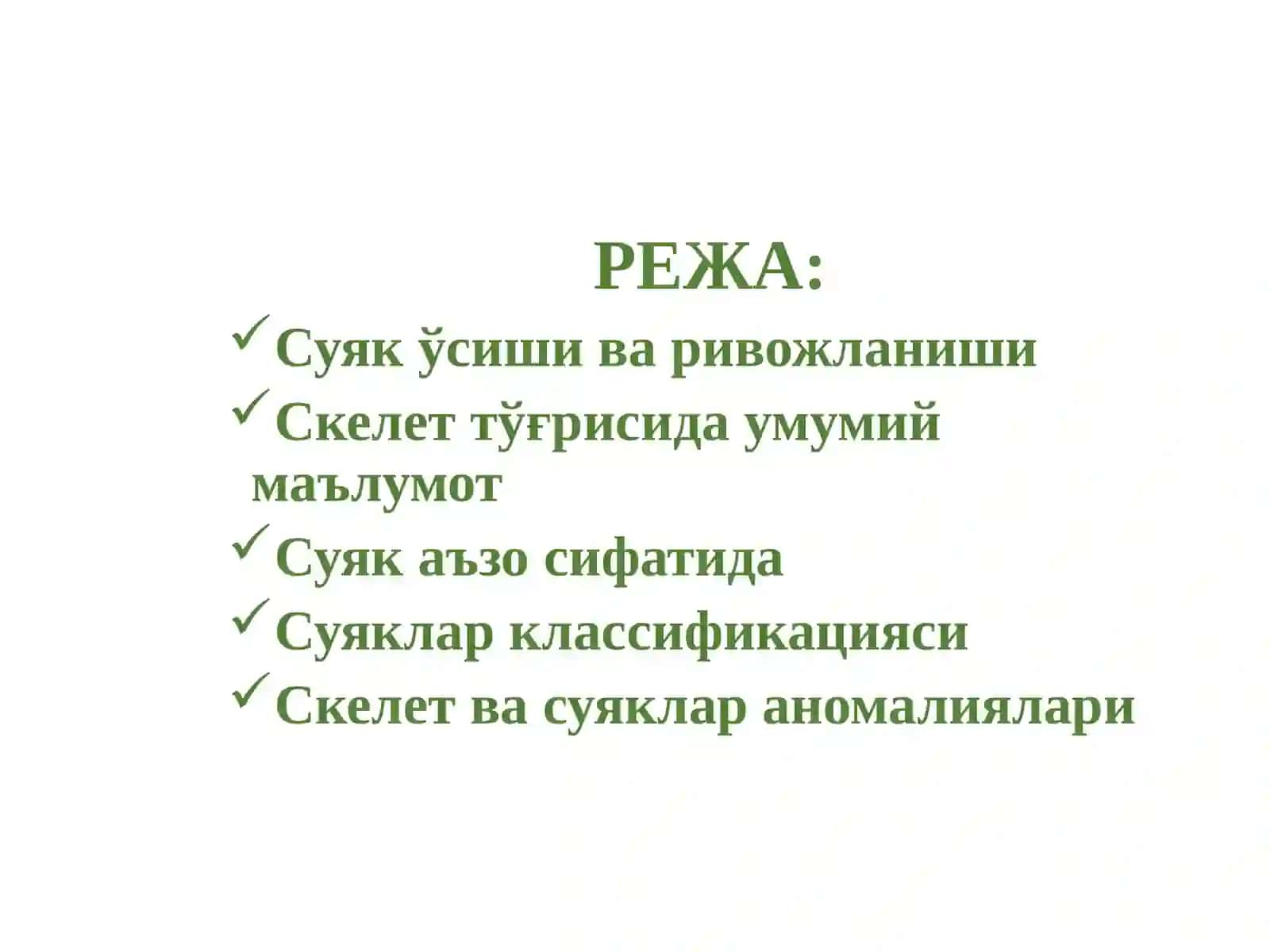 ОСТЕОЛОГИЯ 3