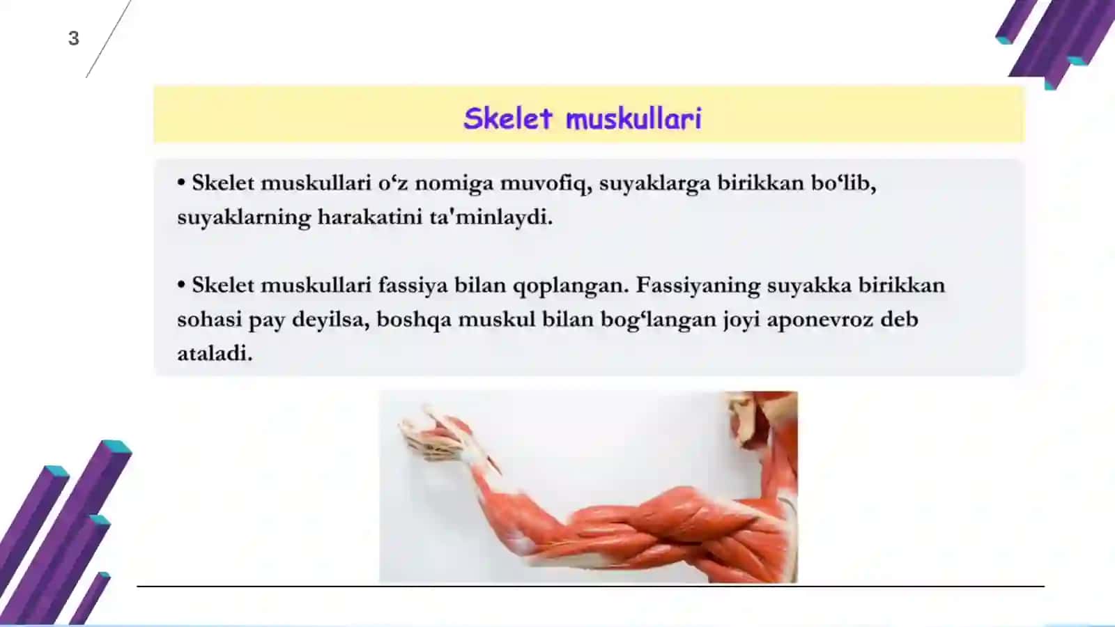 MUSKUL TO’QIMALARI 3