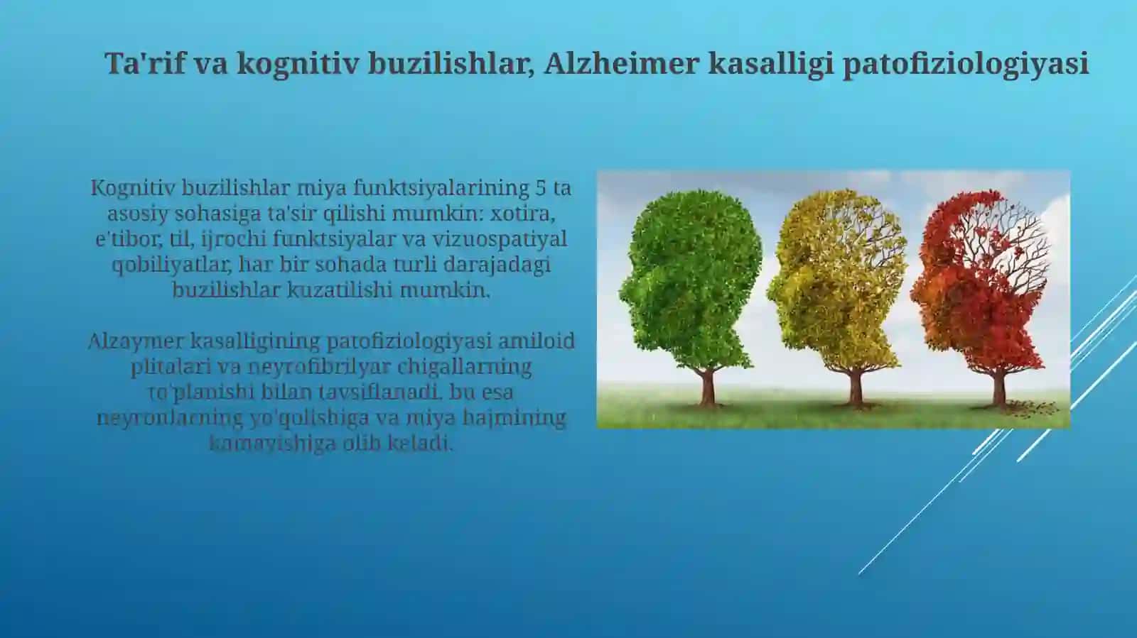 Kognitiv buzilishlar. Alsgeymer kasalligi 3