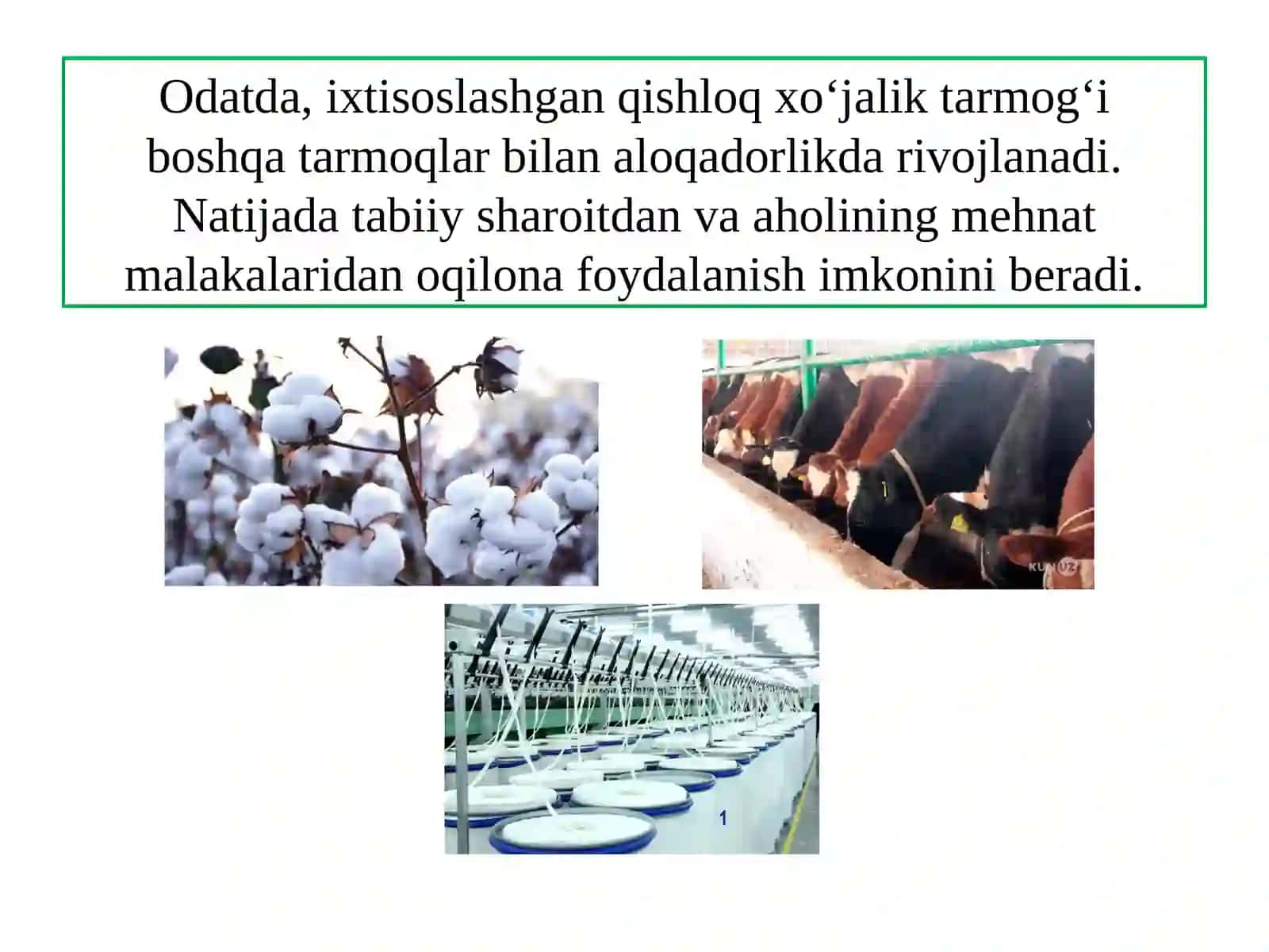 O'ZBEKISTONDA QISHLIQ HOJALIGINING GEOGRAFIK TIPLARI 3