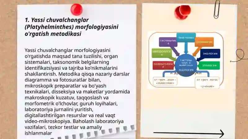 Zoologiya o'qitish metodikasi xususiy masalalari 3