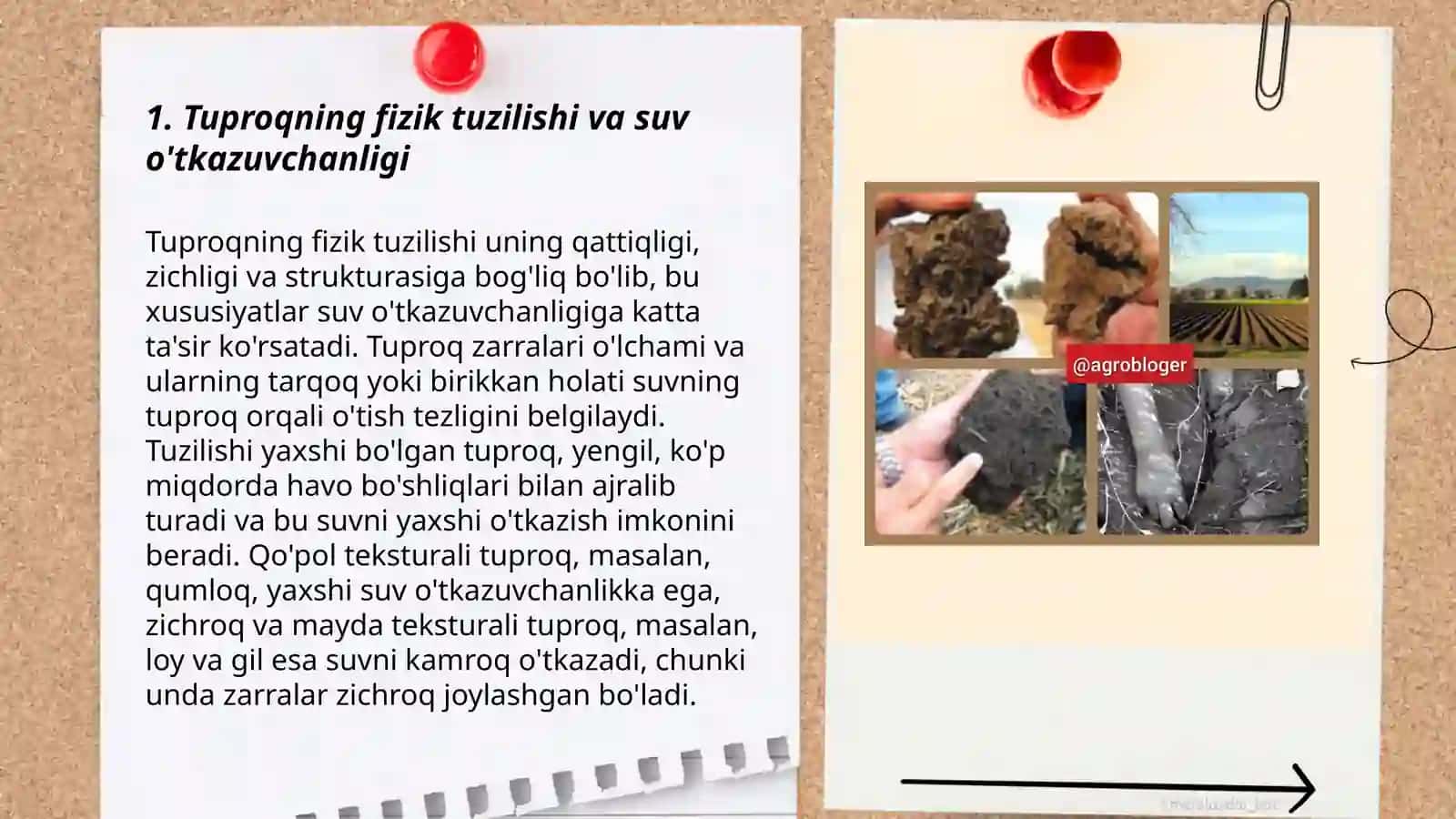 Tuproq qatlamlariga suv toʻplanish sabablari va diagnostikasi 3