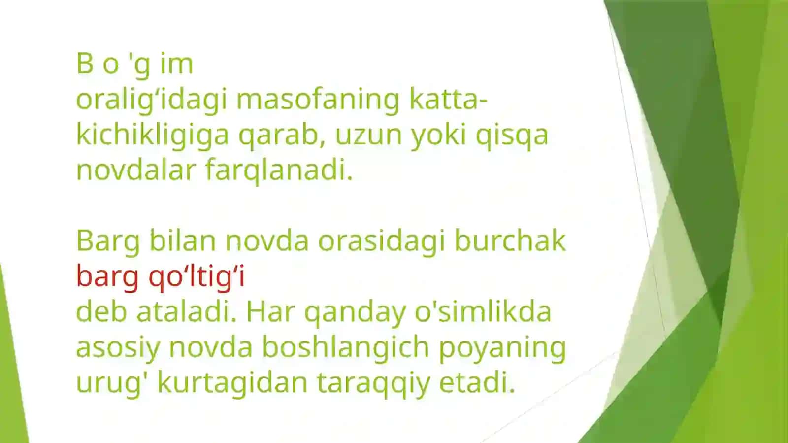 Novda va uning kurtaklarining tuzilishi 3