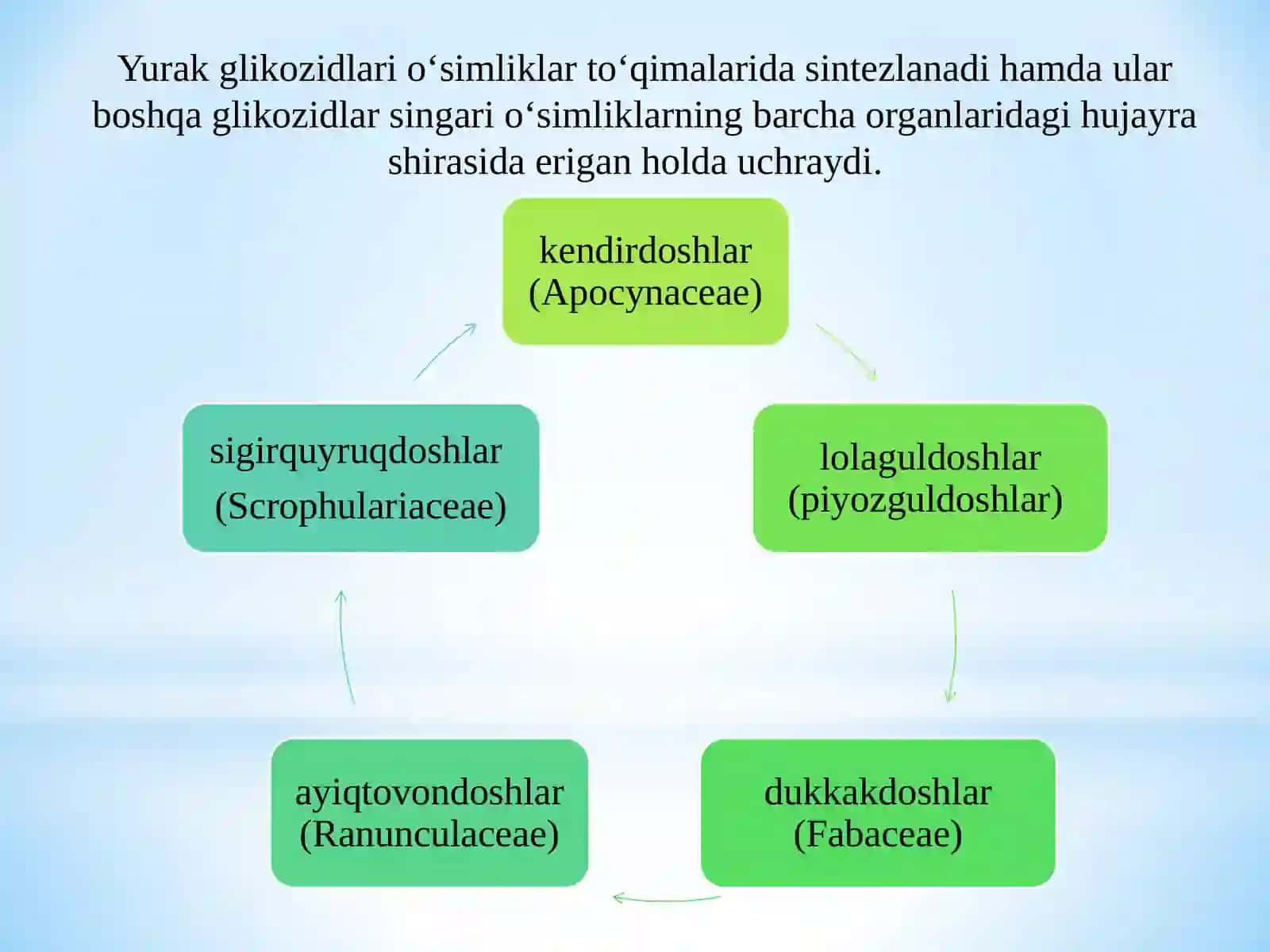Yurak glikozidlari va tarkibida ana shu glikozidlar boʻlgan mahsulotlar 3