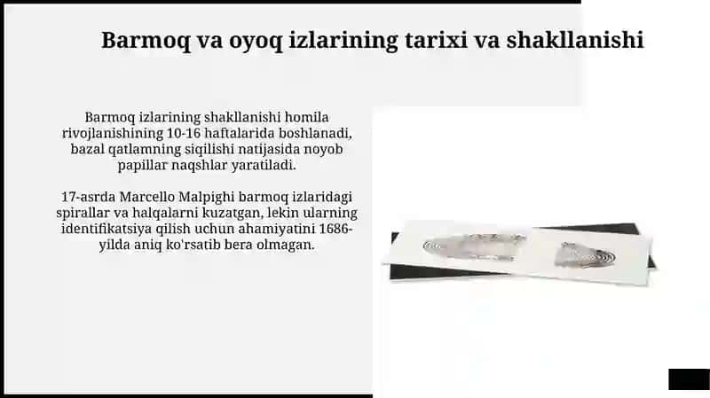 Barmoq va oyoq izlarining tarixi va shakllanishi 3
