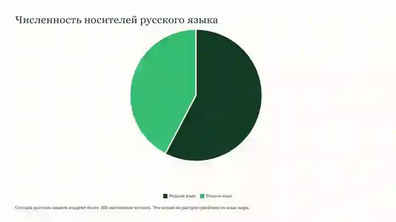Русский язык 3