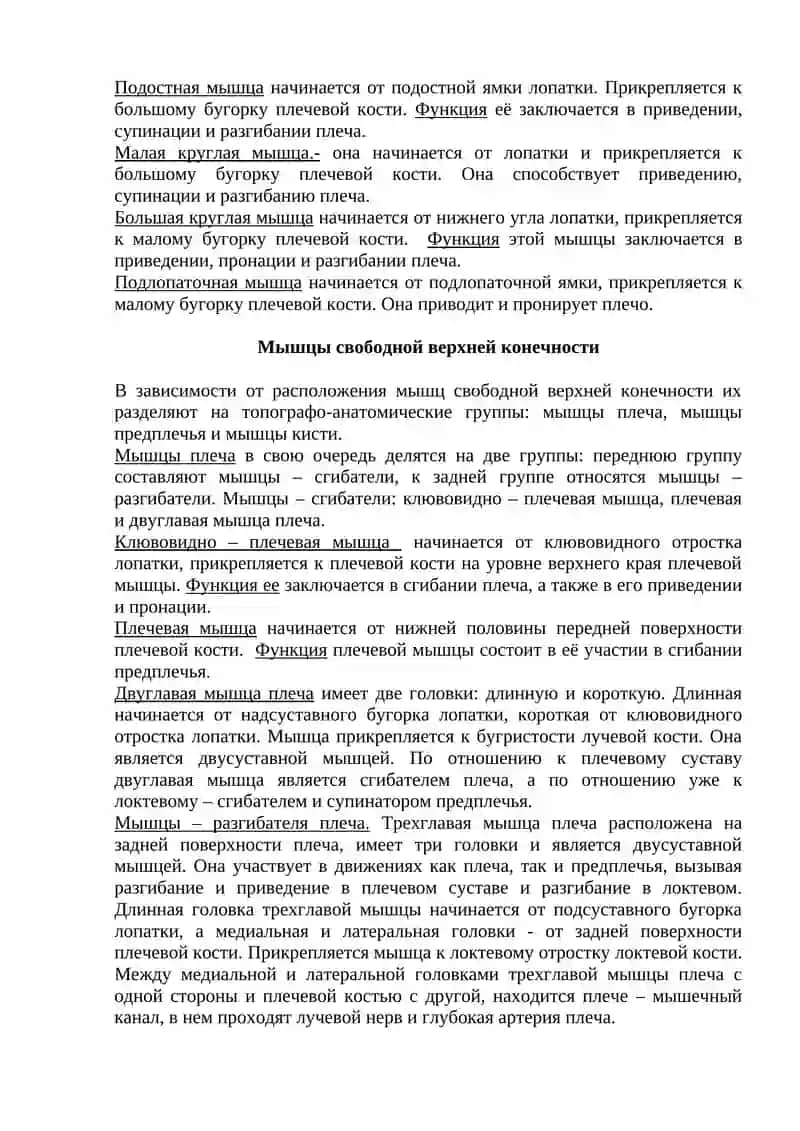 Мышцы и фасции верхней конечности. Движения верхней конечности 3