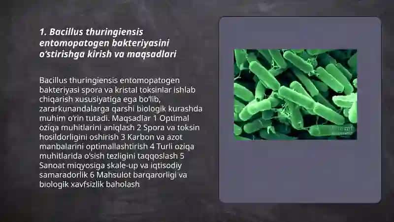 Bacillus thurigiensis entomopatogen bakteriyasini turli oziqa muhitlarida o‘stirish 3