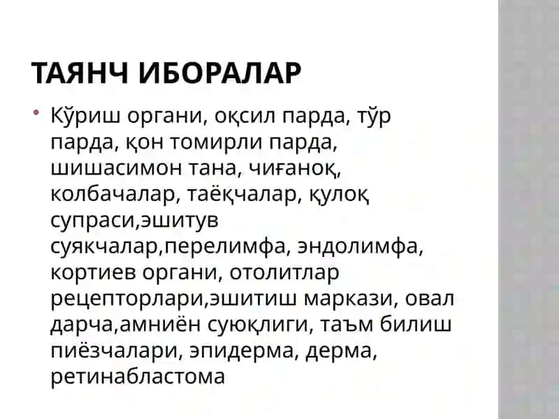 Анализаторларнинг ёшга хос физиологияси 3