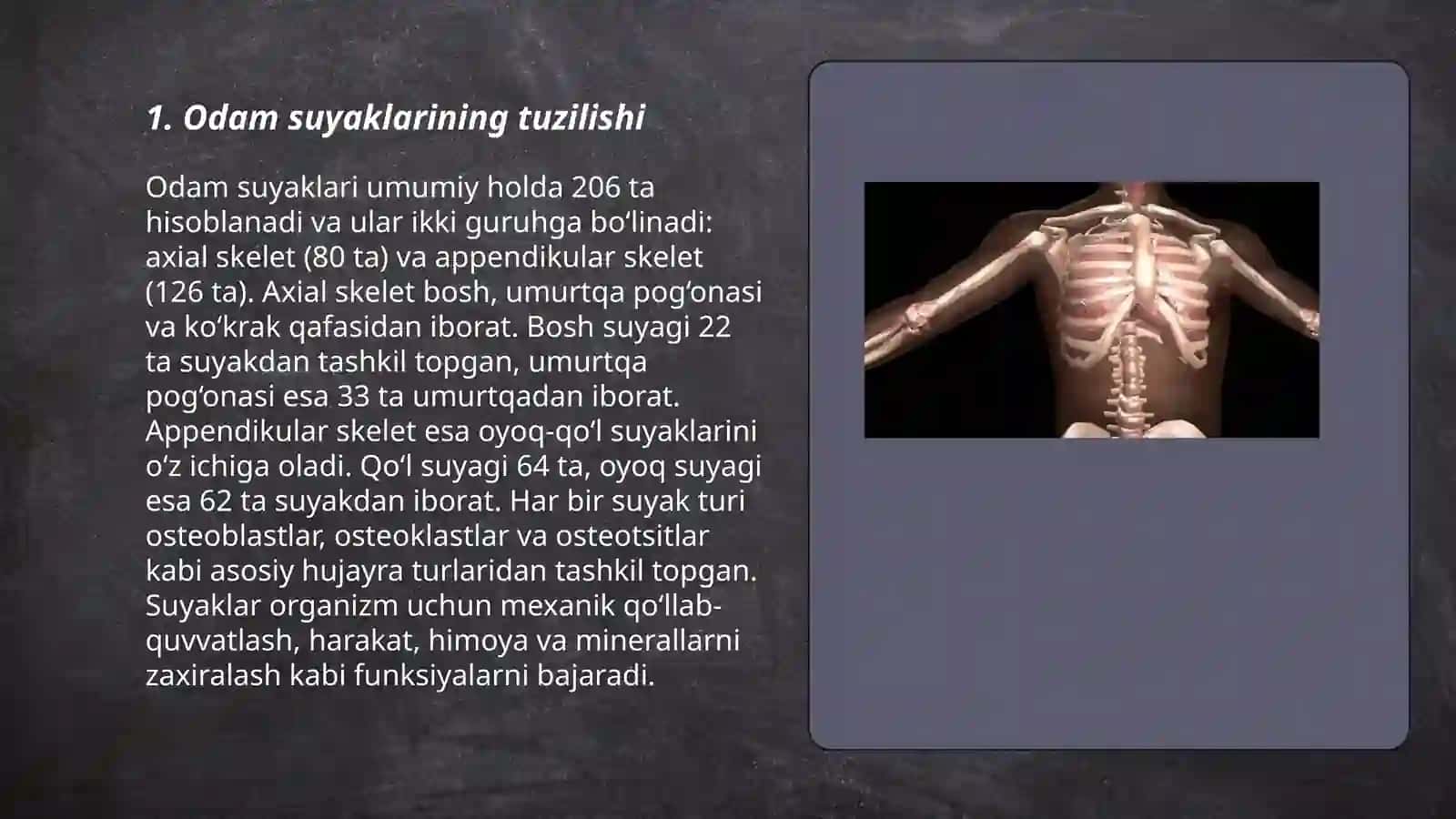Odam suyaklarning xilma-xilligi, tuzilishini o‘rganish 3