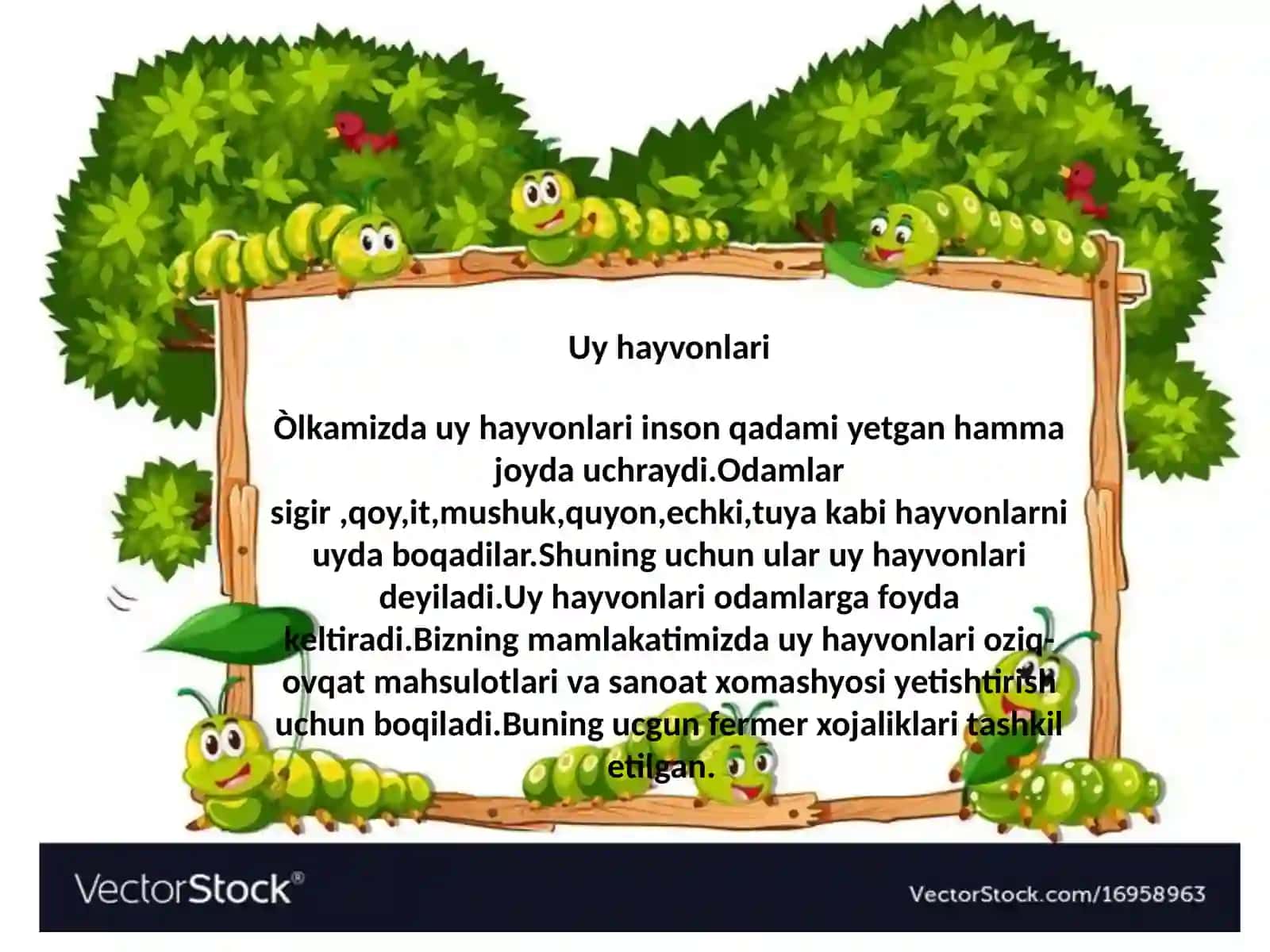 Uy hayvonlari 3