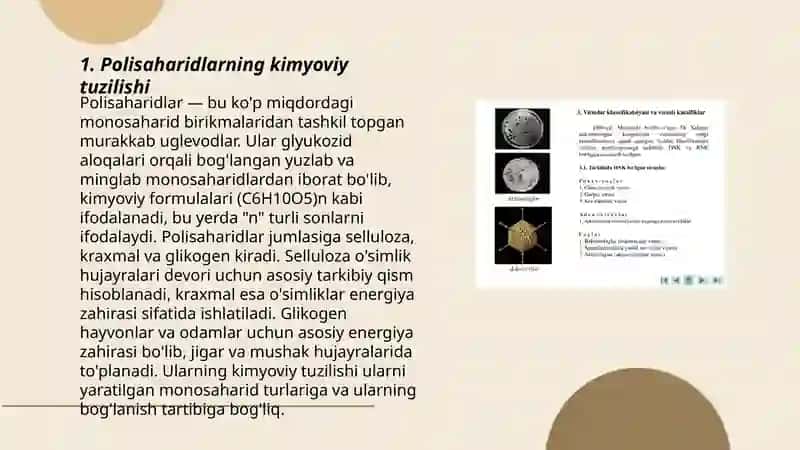 Polisaharitni tuzlishi klasifikatsiyasi va oʻsimlik hayotidagi oʻrni 3