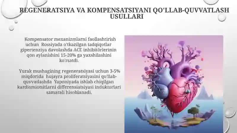 Yurak-qon tomirlar tizimida regenerator va kompensator jarayonlar 3