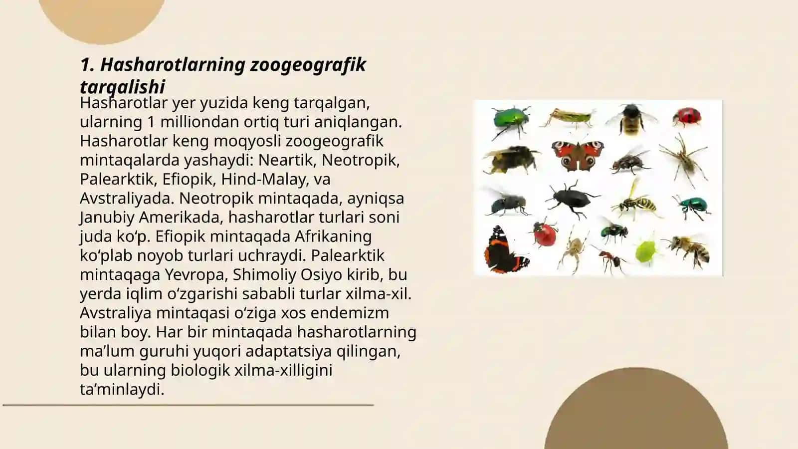 Hasharotlarning zoogeografiyasi va ularni muhofaza qilish 3