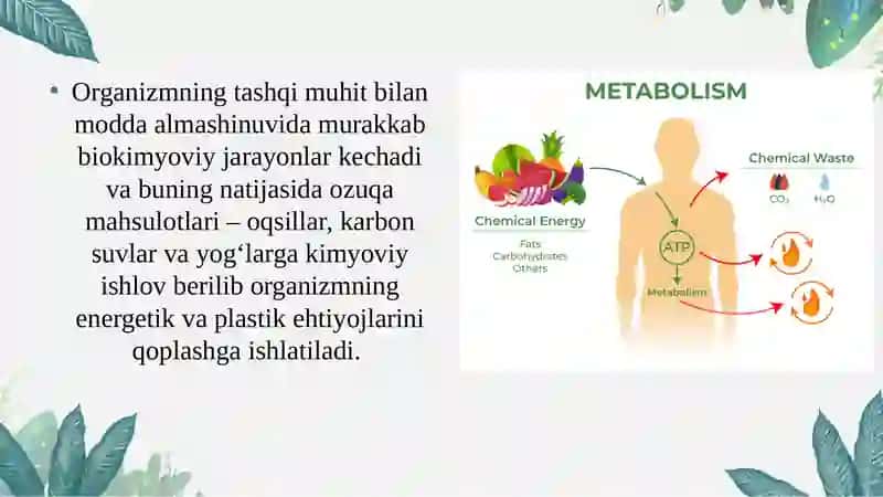 Moddalar almashinuviga kirish. Metabolizm to‘g‘risida tushuncha. Ovqatlanish biokimyosi. 3