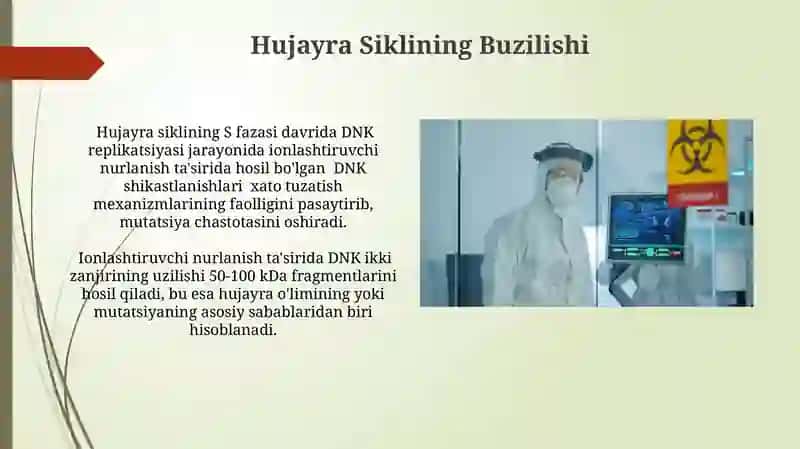 Ionlashtiruvchi nurlarning biologik effekti( Radiologiya fanidan) 3