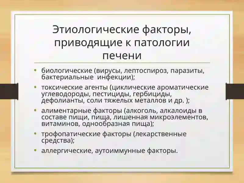 Патофизиология печени 3