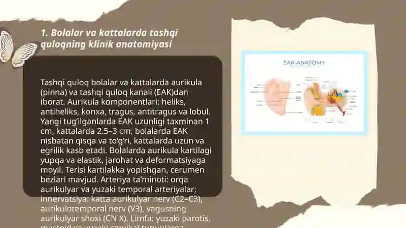 Bolalar va kattalarda quloq soxasining klinik anatomiyasi 3